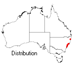 Doryanthes excelsa distribuzione geografica