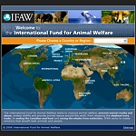 Difesa degli animali e loro diritti: IFAW - International Fund for Animal Welfare