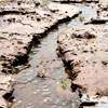 Erosione e conservazione del suolo 