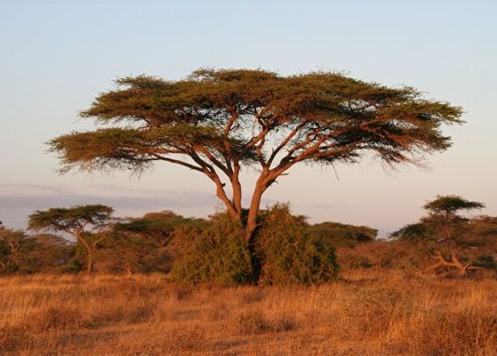 Il mio viaggio in Africa: i paesaggi