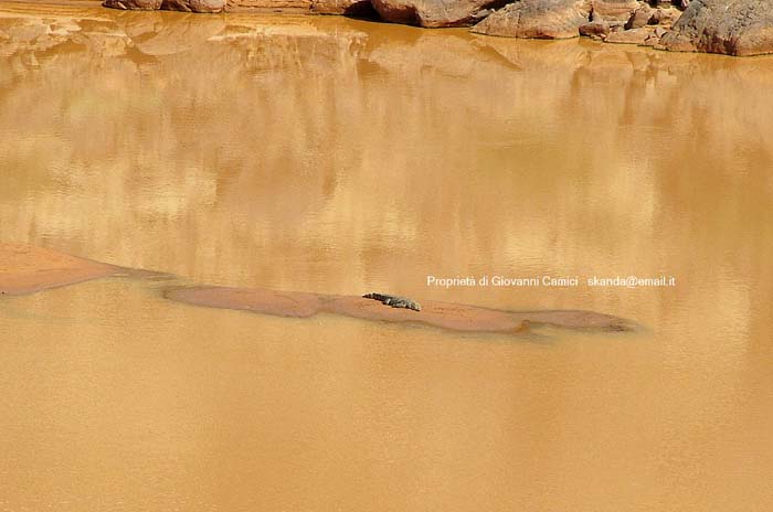Mauritania: viaggio in Africa -  Pozze dei coccodrilli di Matmata